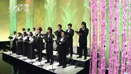 サボテンの花
