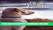 [PDF] To Your Dog s Health!: Canine Nutrition and Recent Trends Within the Pet Food Industry Full