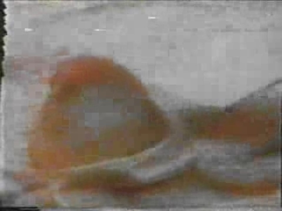 Burger King TV commerical: The one and only Whopper!
