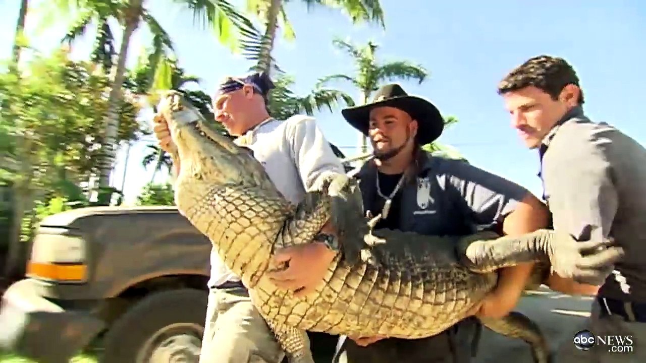 'Gator Boys' on Animal Planet: Stars Reveal Huge Risks Behind the Scenes