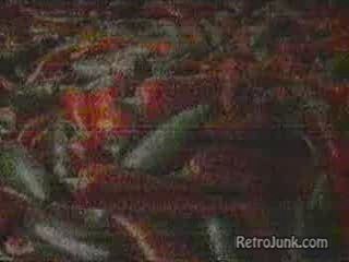 Burger King TV Commercial: Fiesta Whopper