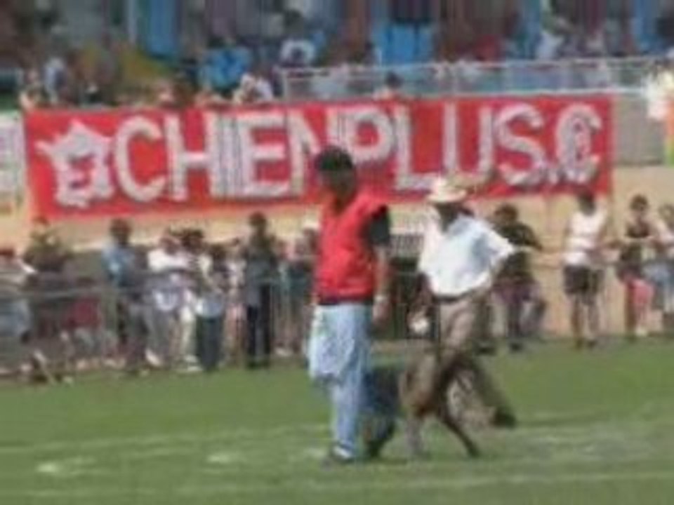 Malinois - FrenchRing-2005