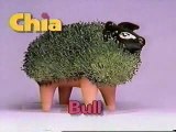 Chia Pet