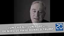 «Un chien», «un porc»... Robert De Niro se paye Donald Trump