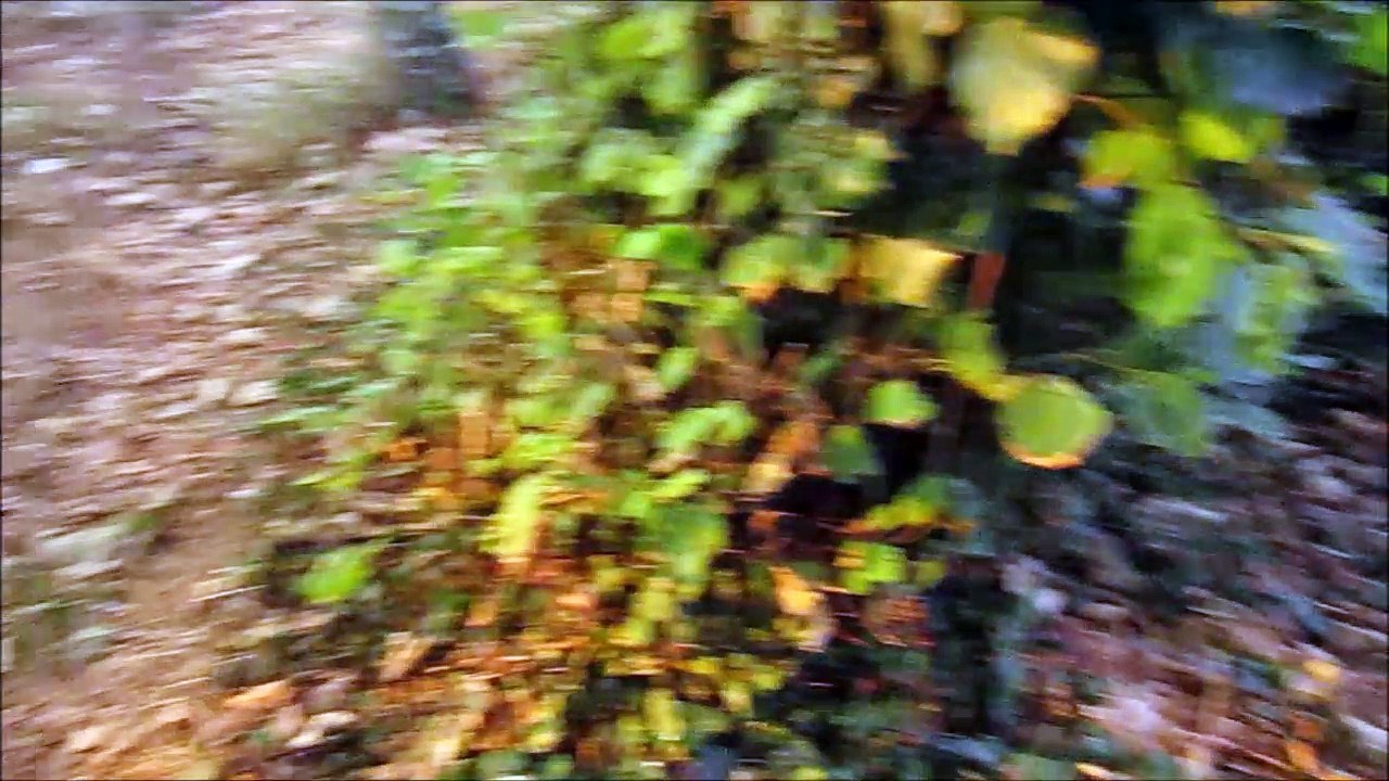 post porno, étude 10