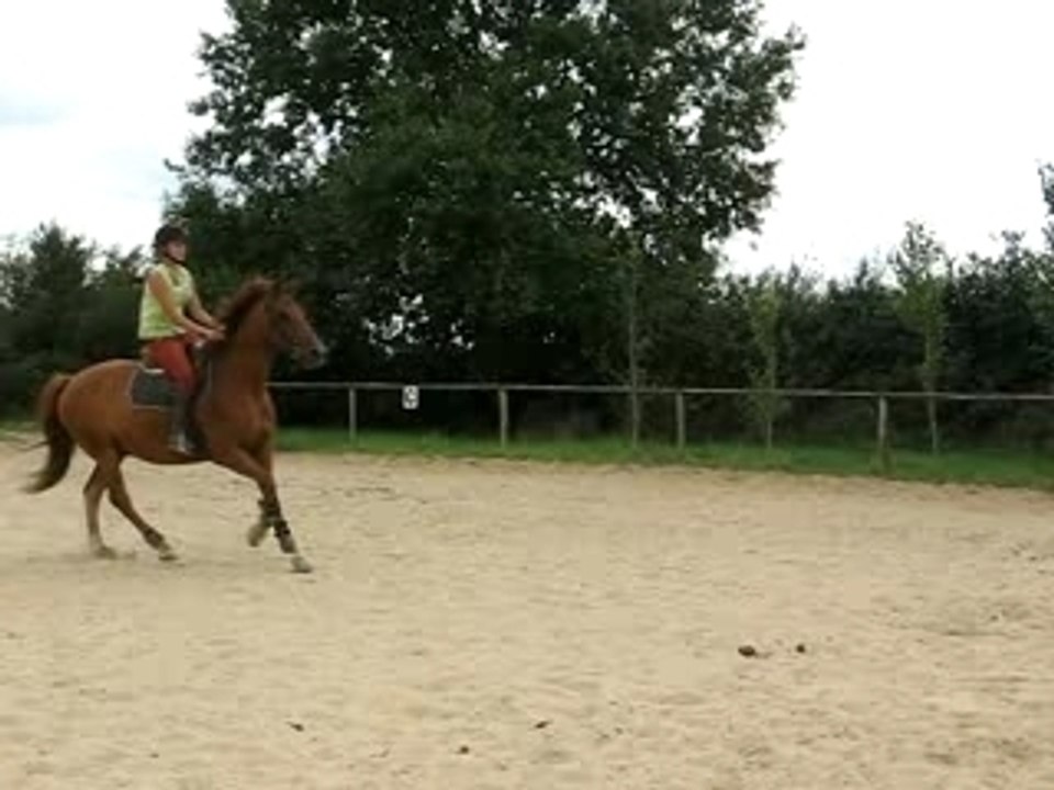 MVI_0992