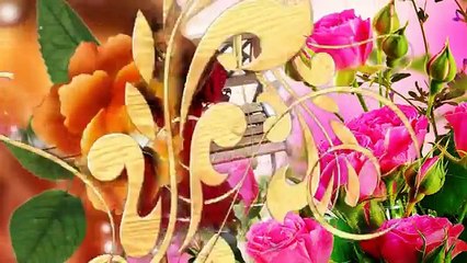 Tausend Rosenträume - Frans Bauer-Fgo2HEARgHo-HQ