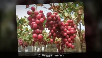 8 Makanan sehat untuk jantung