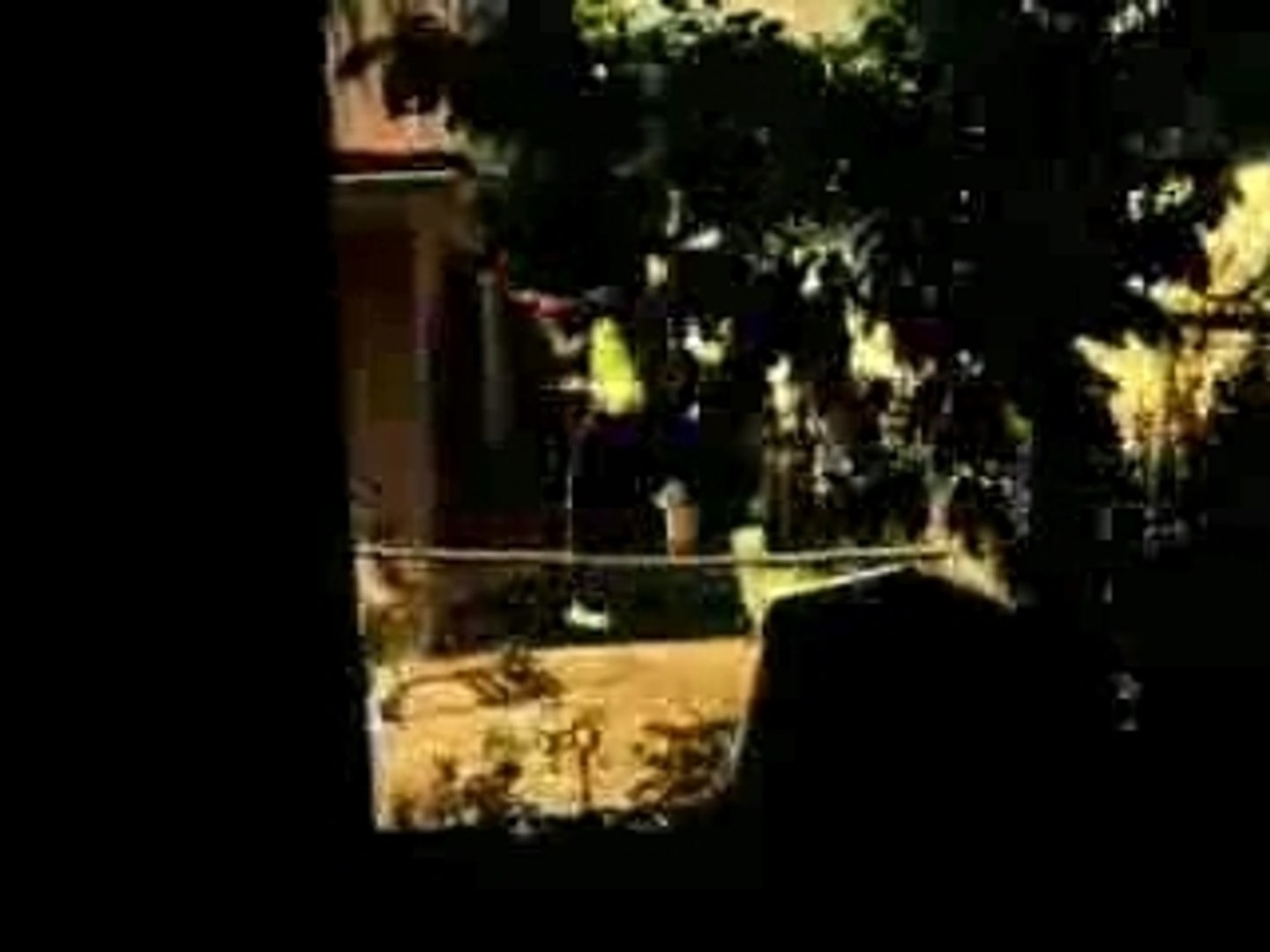 Wyclef elephant man - 5 0
