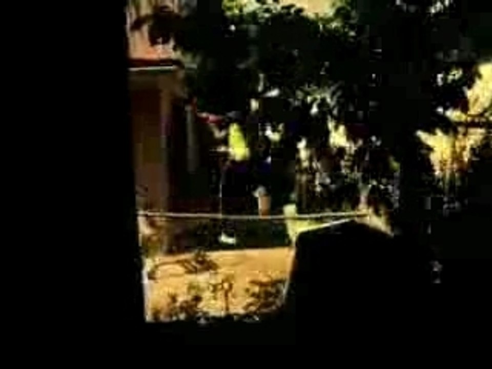 Wyclef elephant man - 5 0