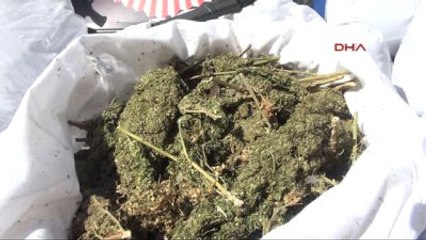 Diyarbakır? da 1 Ton 310 Kilo Esrar Ele Geçirildi