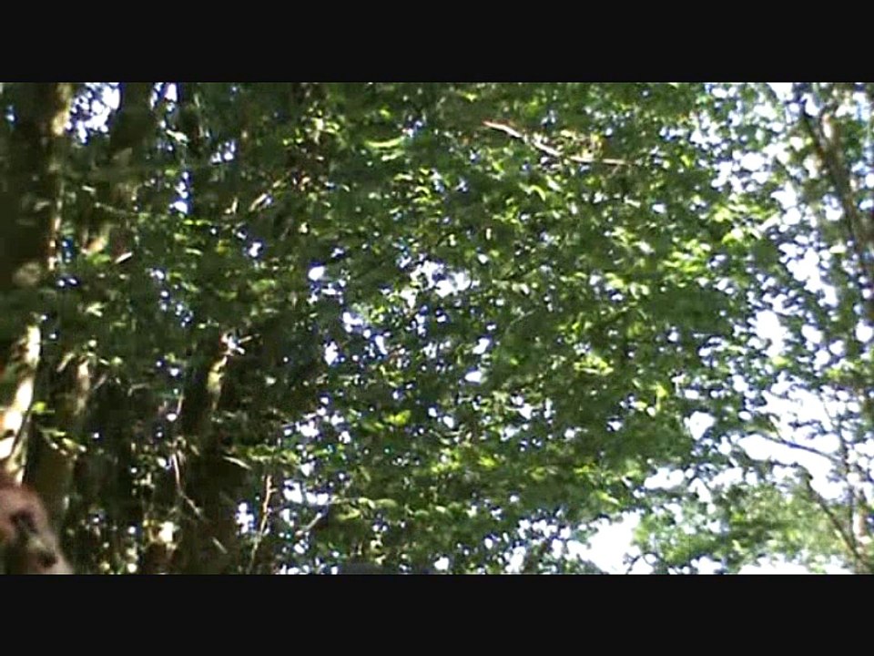 Crackpot Roman Emperors 1