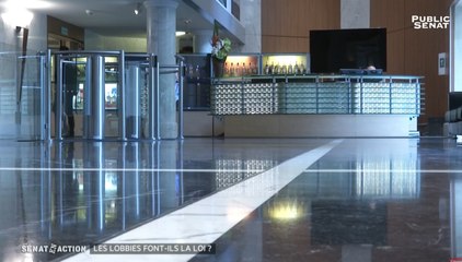 Les lobbies font-ils la loi ? - Sénat en action (30/09/2016)