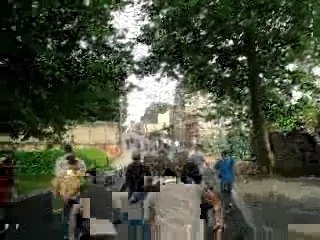 Lalouvière / carolos