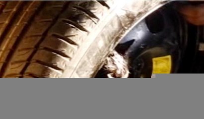 Yedek lastik jantına sıkışan kedinin kurtarılma anı