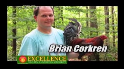 American Breeder 2013: Brian Corkren (Part 2)