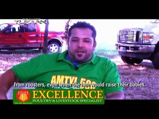American Breeder 2013: Alfredo Flores (Part1)