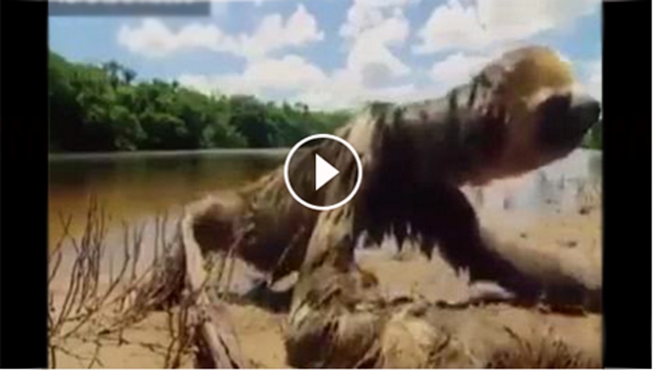 OMG that is Really shocking creature