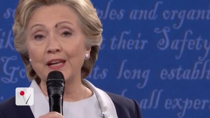 Fly Steals the Show During Second Presidential Debate