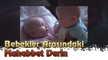 Bebekler Arasındaki Muhabbet Derin