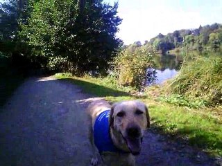 balade en bord de loire