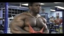 BICEPS and TRICEPS TRAINING & WORKOUT - Bodybuilding Motivation 2016 -