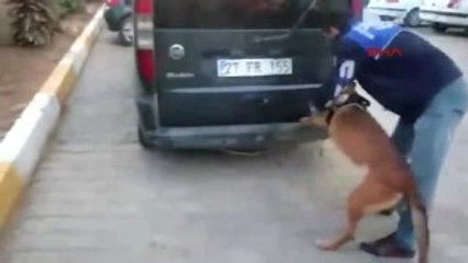 Şanlıurfa'da, Eskortlu Uyuşturucu Satıcıları Yakalandı