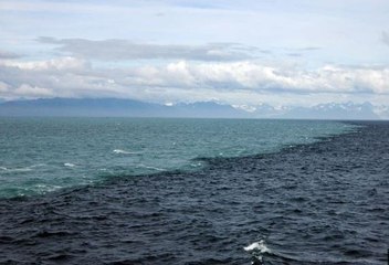 two sea meet one is salty and one is sweet,ISLAM,the religion of peace