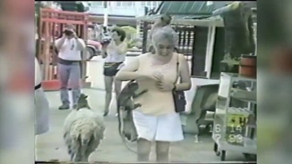 Cutest Animals of May 2016 Kyoot Animal Compilation