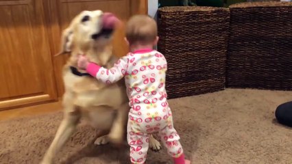 Cute Dogs And Adorable Babies Compilation