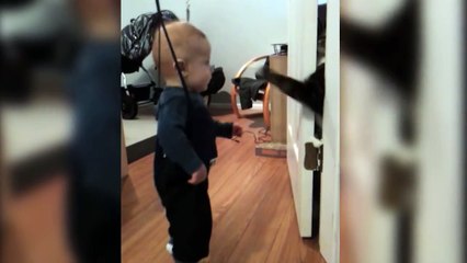 Cute Cats And Adorable Babies Compilation