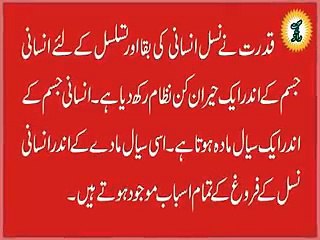 zubaida aapa kai Totkay in Urdu