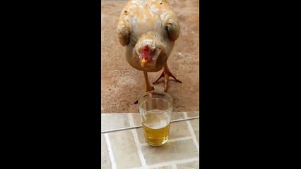 He Gets Mean When He Drinks