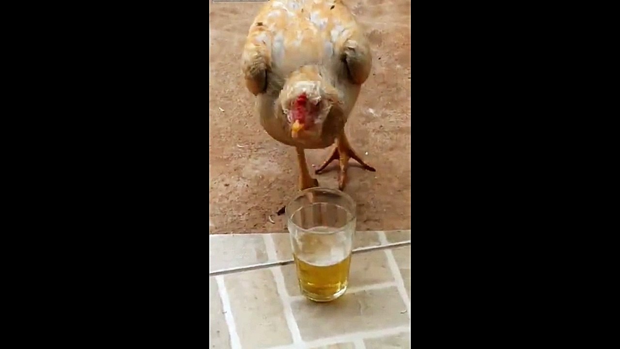 He Gets Mean When He Drinks