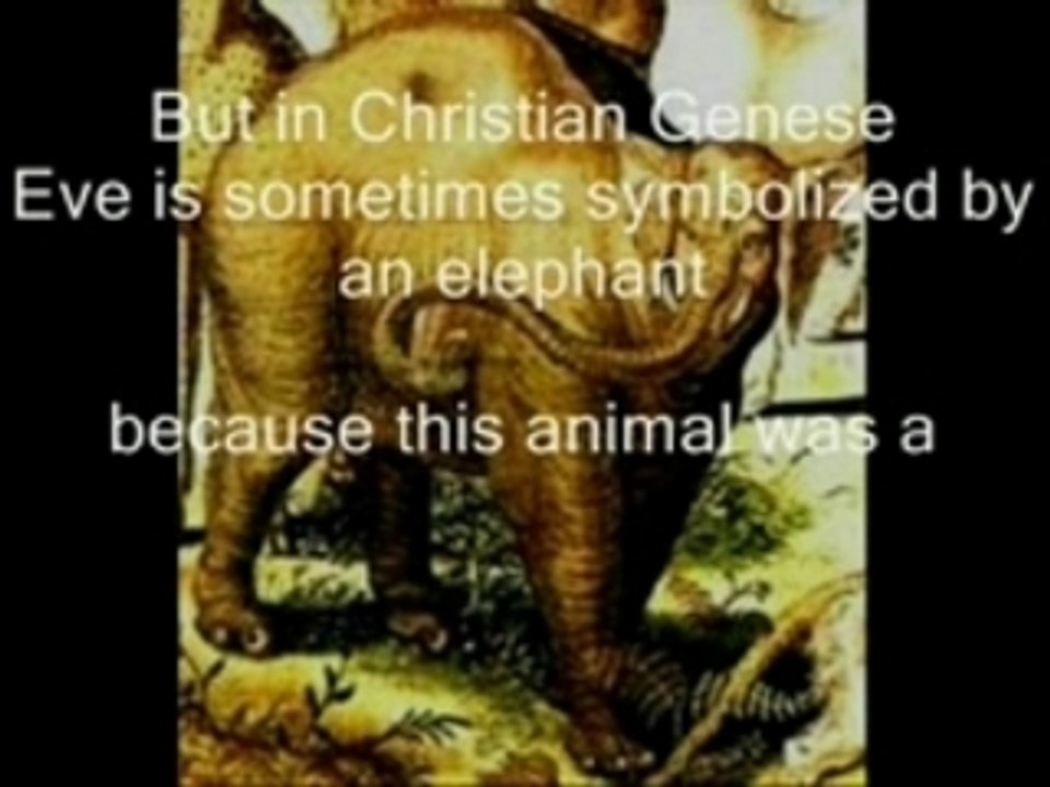 Kashmir Sufism Movie Project part IV dailymotion