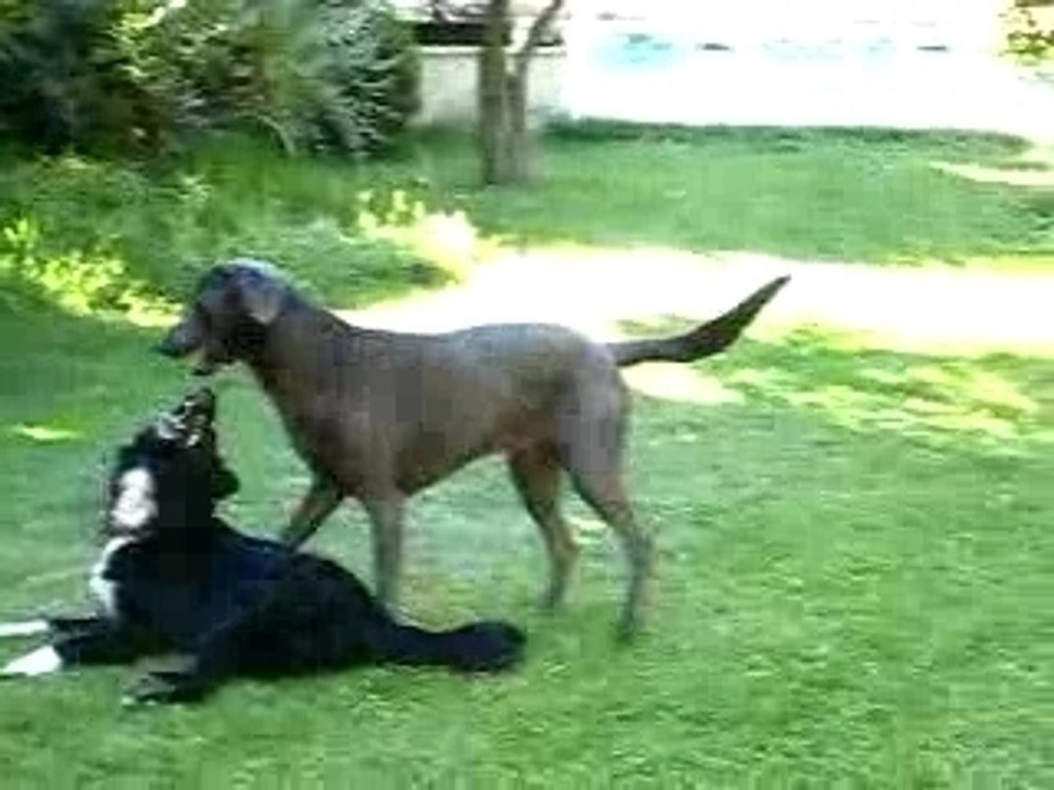 NASH CONTRE ELIOT
