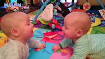 Cute Baby Videos -  Funny Babies Talking to Each Other Compilation 2016