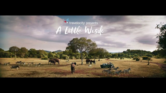 Travelocity - Safari Outrun