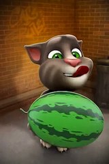 Talking Tom Cat Doing Cool Stuff!! Part 1