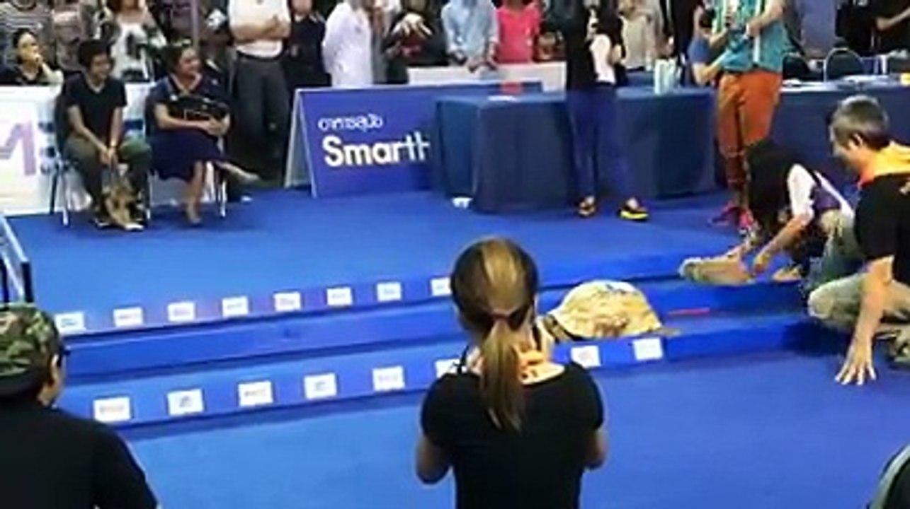 Tortoise-Rabbit ki Kahani