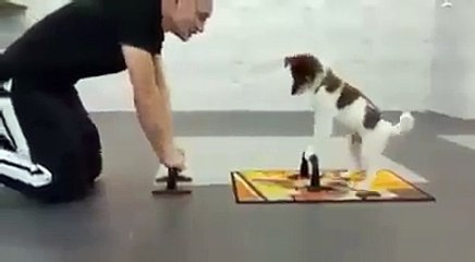 Funny Videos Of Funny Human -Babies - Students - Animals - Do Not Laugh Challenge 2016