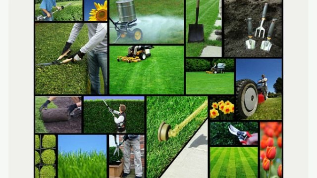 Restaurant Insurance Jacksonville