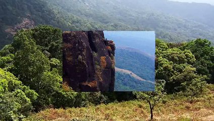 Kurinjal Peak - Karnataka , India
