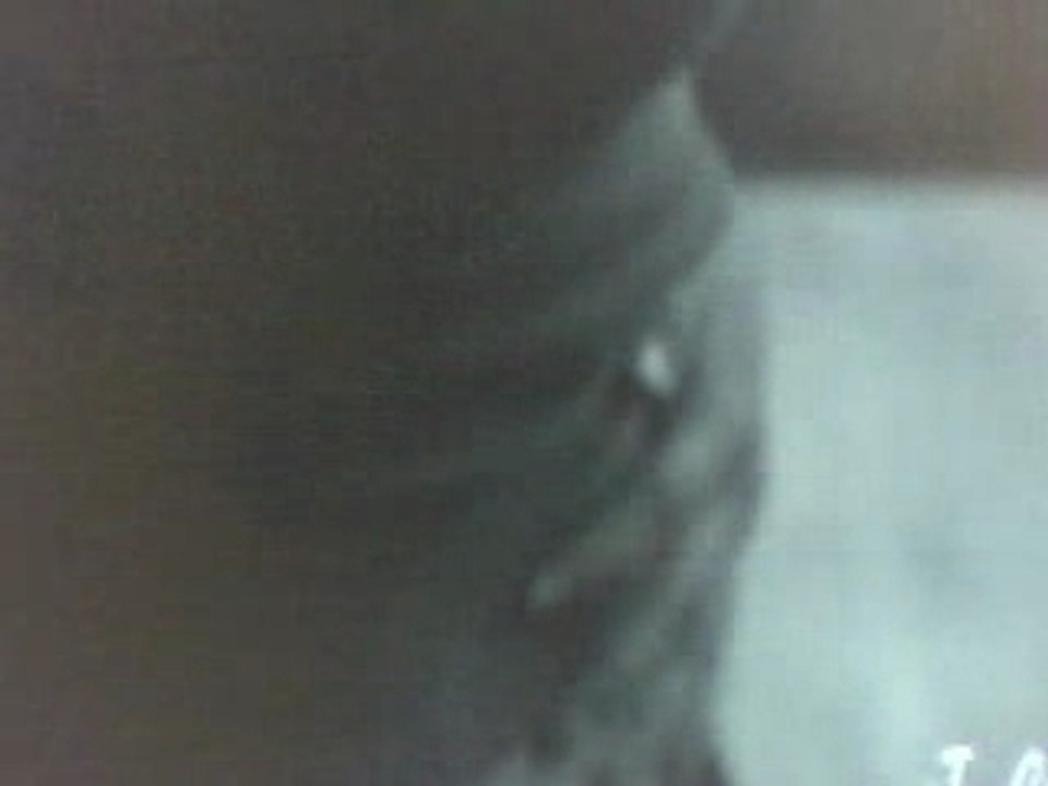 brucas saison 5 - les frères Scott