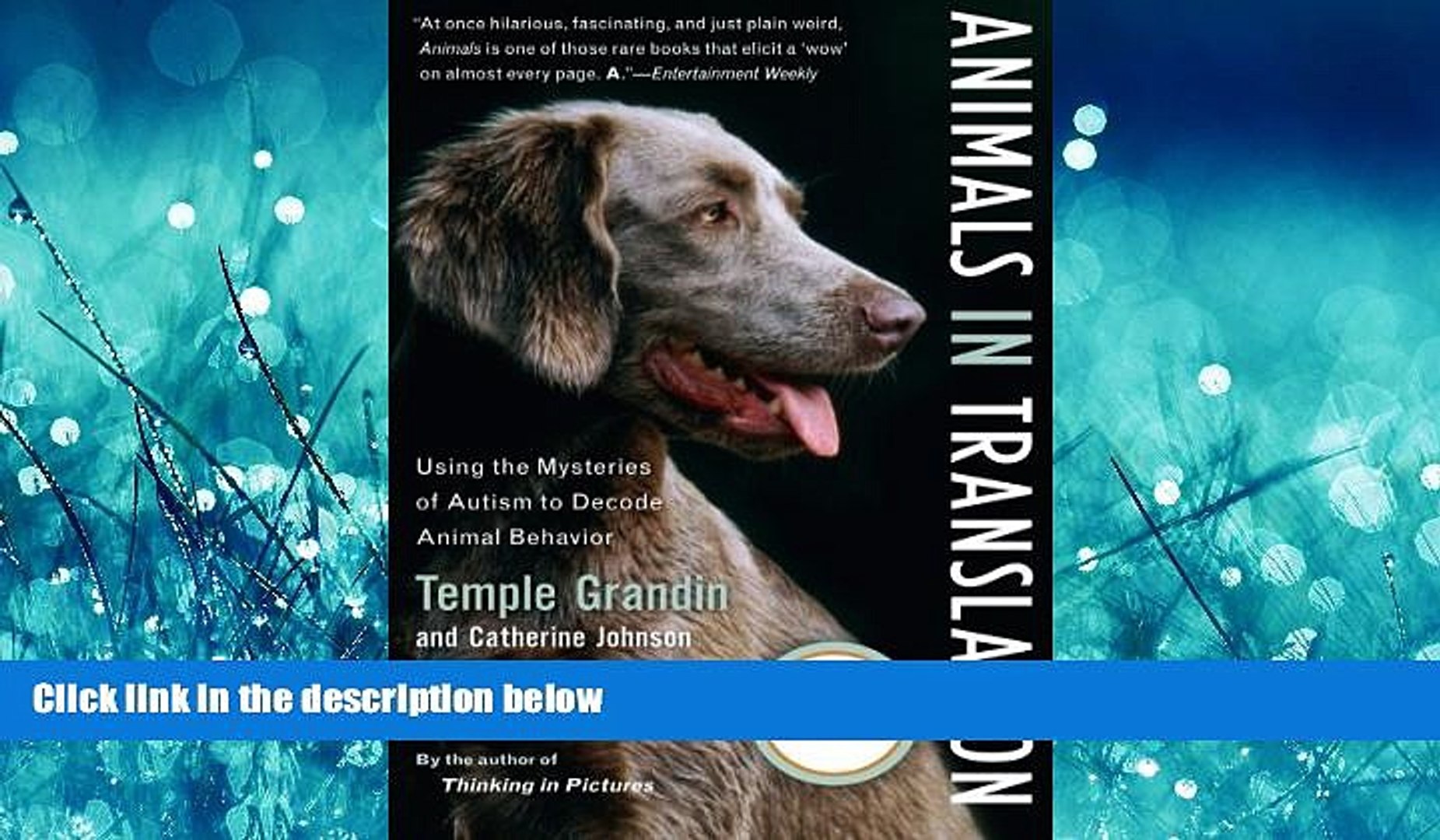 ⁣Enjoyed Read Animals in Translation: Using the Mysteries of Autism to Decode Animal Behavior (A