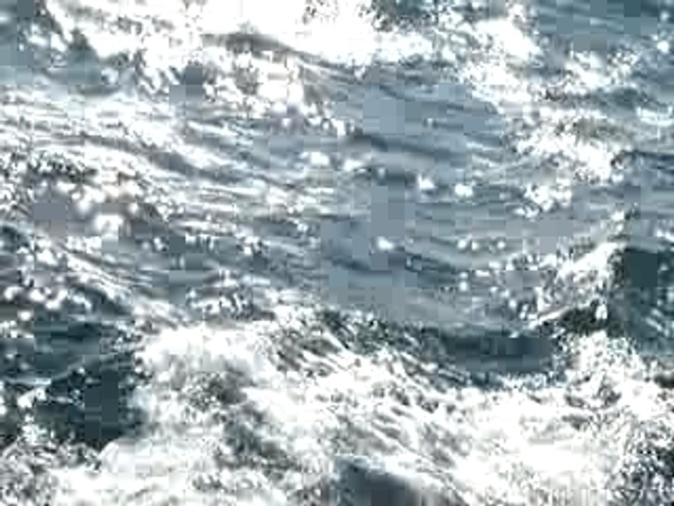 Dauphins Iles Chausey