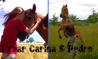 [horsegirlship 26] Live your life with passion *1 year Carina & Pedro*