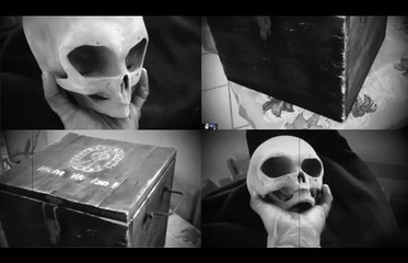 The Mystery of the Strange Briefcase and Two Mysterious Skulls!