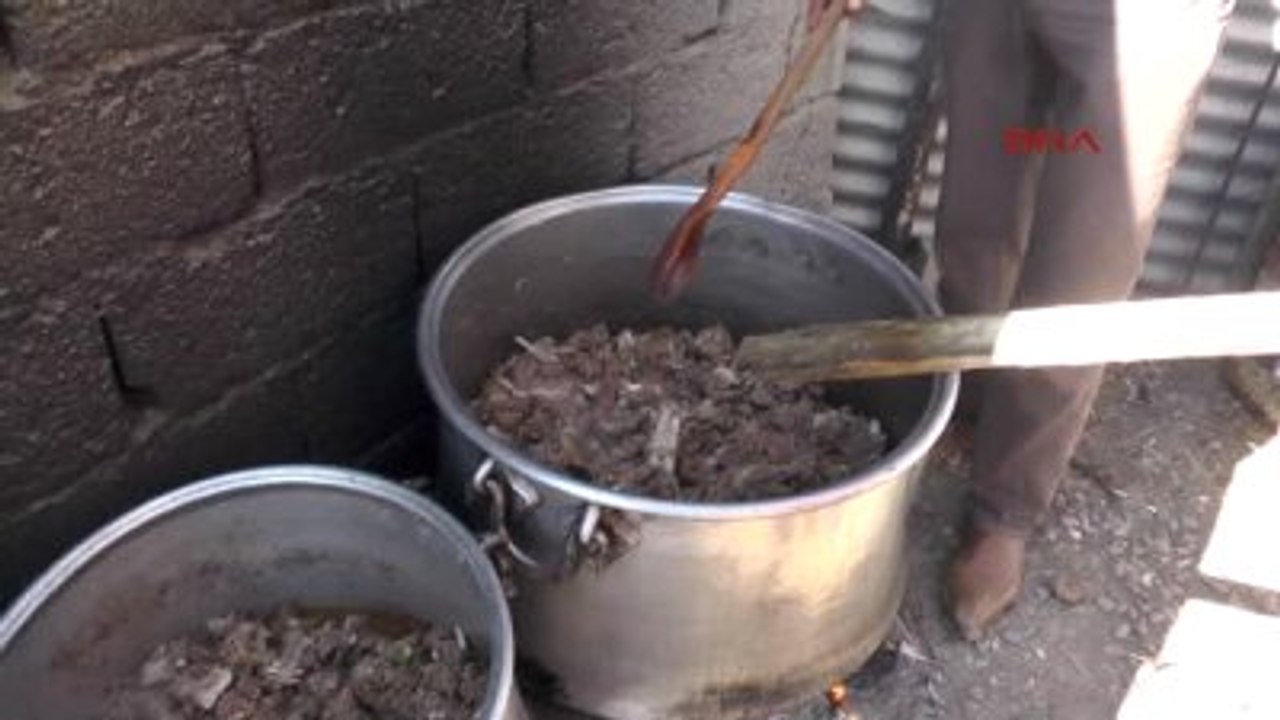 Muş - Mezraya Su Geldi, Gençler Evlenmeye Başladı