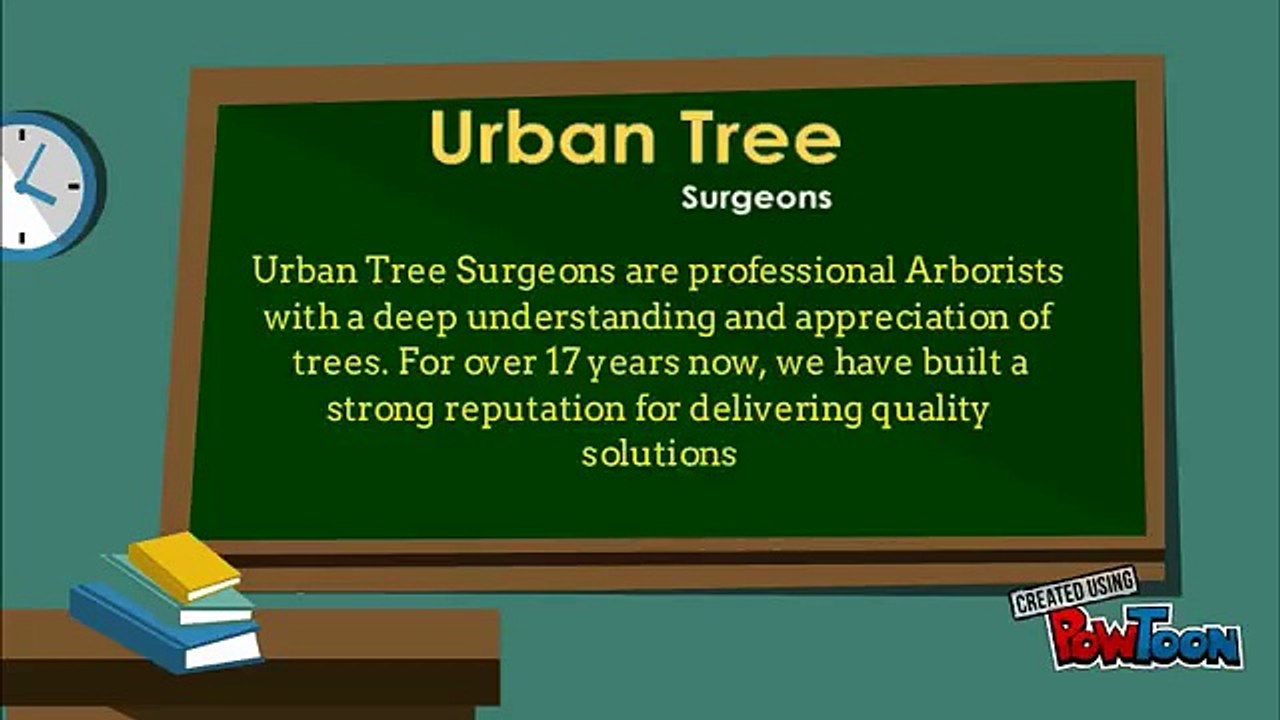 Get Best Arborists in Auckland  at Nominal Price
